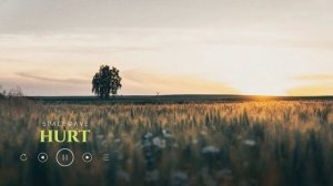 Acoustic Ambient Scores ｜ Emotional Soundtracks When You Feel Broken (No AI)