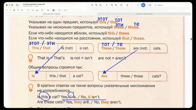 this that these those (утверждения)