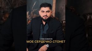 Слава Новиков - Мое сердечко стонет #gypsy #music #музыка #romania