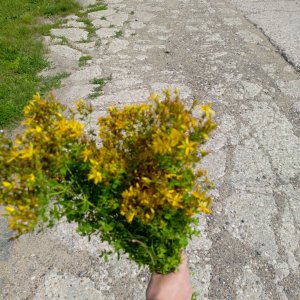 #ХОЧУВГОРОД я в деревне
