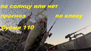 Судак по солнцу или против. Суоми 110. Прогноз по клеву.