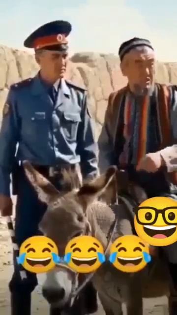 Брат из ГАИ🤓