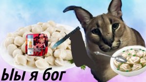 Разоблачение на король петухов 228**как будто брат вайти**