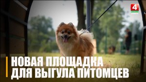 Новая площадка для выгула и дрессировки собак появилась в Гомеле