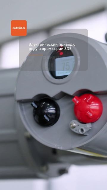 ий привод с редуктором серии SDZ-CHENGLEI