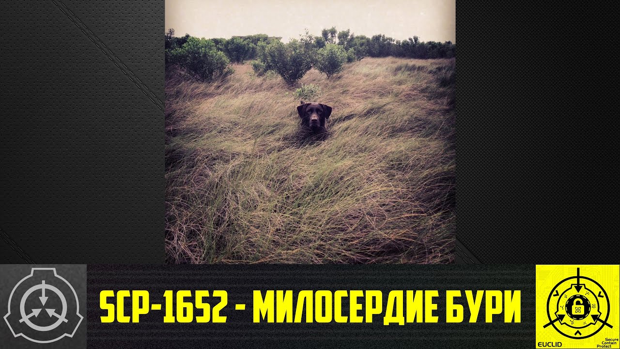 SCP-1652 - Милосердие бури 【СТАРАЯ ОЗВУЧКА】 смотреть онлайн