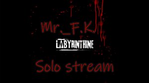 Labyrinthine Solo Stream