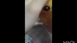 это мои пельмешки ❤️❤️❤️❤️