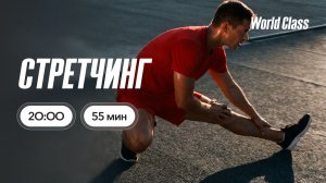 СТРЕТЧИНГ с Екатериной Ковпак | 12 июля 2026 | Онлайн-тренировки World Class