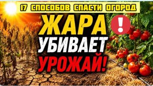 Как спасти огород от жары: 15 приемов от полива до защиты!