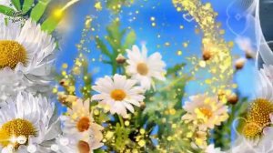 🌼 С Днем семьи, любви и верности! ❤️ Самое красивое поздравление с 8 июля | Душевная песня