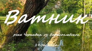 Ватник обыкновенный.19.06.2026. Пруды на Чернавке. оз.Борисоглебское. Рыбалка  в Московской области.