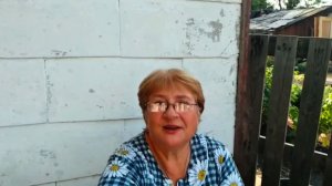 Чем богаты то и собираю , шершни ушли , ничего не успеваю...