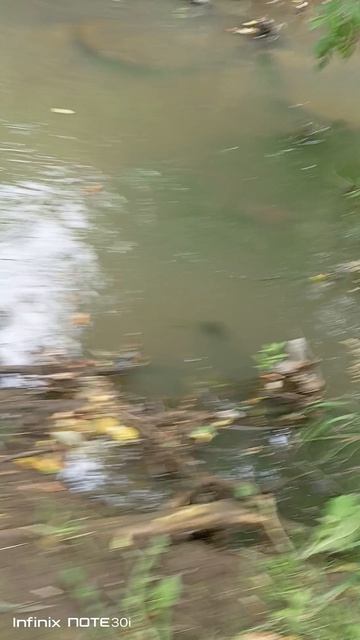 делай добро и пускай в воду 🤗 смотреть онлайн