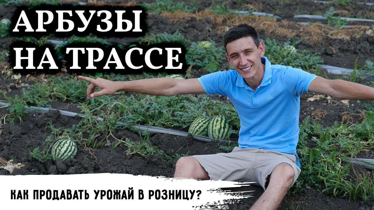 Арбузы на трассе // Инженер-сибиряк и его 70 гектар на Юге смотреть онлайн