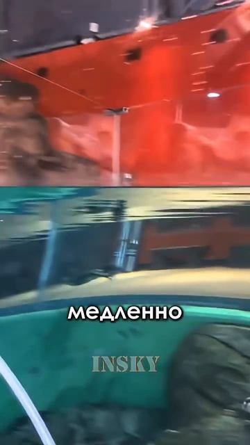 Крупнейший океанариум с лифтом смотреть онлайн