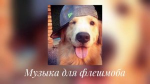 Музыка для флешмоба//песни из тт😜