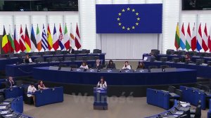 Польские депутаты Европарламента требуют осудить Зеленского.