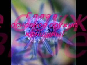 «Голубоглазая»