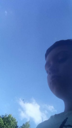 Ж