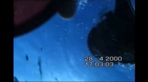 Самые Жуткие Случаи Погружения дайверов