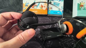 Плеер FIIO ECHO MINI в паре с Snowsky WIND