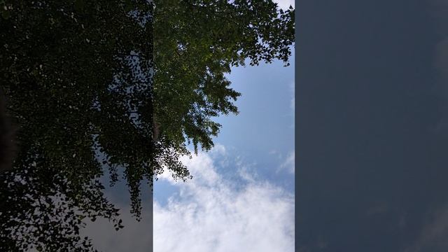 отмечаю 20 подписчиков. смотреть онлайн