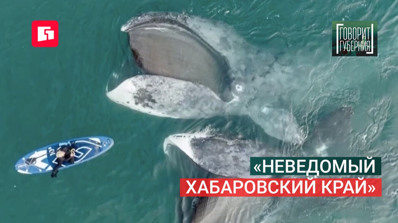 «Неведомый Хабаровский край». Говорит Губерния. 08/07/2026. GuberniaTV