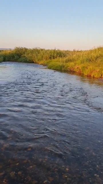 р.Пинчуга Богучанский район Красноярский край