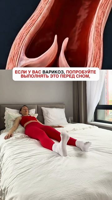 7 июля 2026 г.