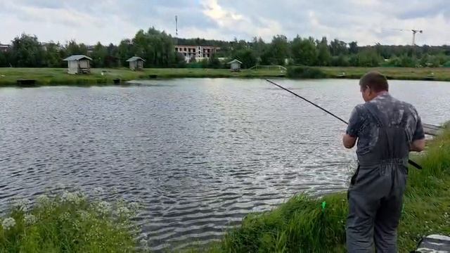 VID-20260708-WA0020 смотреть онлайн