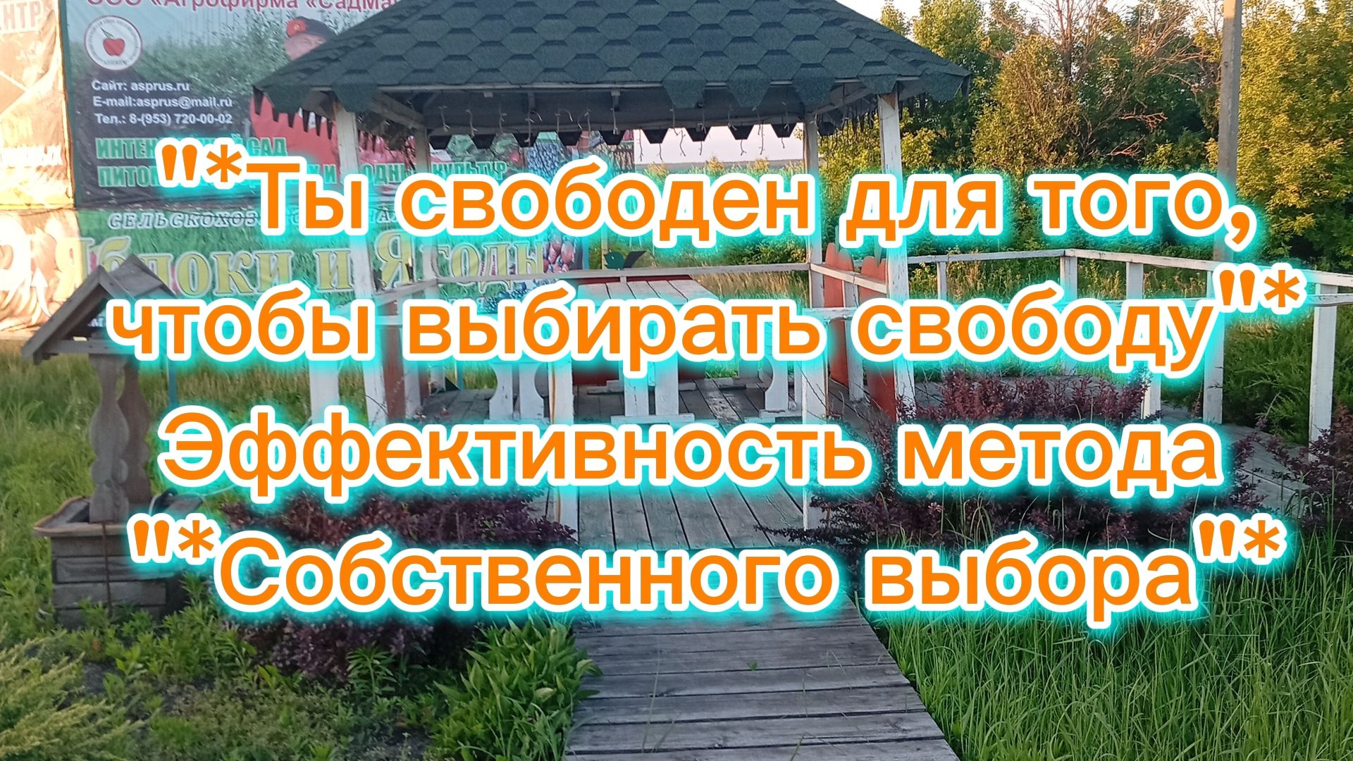 "*Ты свободен для того, чтобы выбирать свободу"* Эффективность метода "*Собственного выбора"* смотреть онлайн
