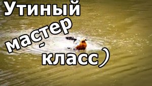 ЧИСТИМ КРЫЛЫШКИ ПРАВИЛЬНО! ЦАРИЦЫНСКИЙ SPA-САЛОН 🦆. МОСКВА. ИЮНЬ 2026.