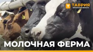 В фермерском хозяйстве Херсонщины содержится почти 2 тысячи голов КРС