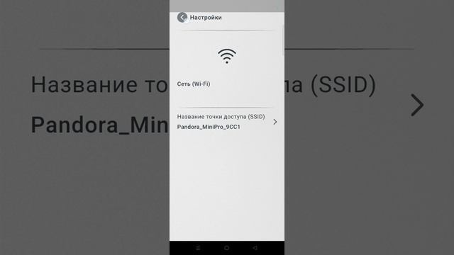мобильное приложение Pandora 2Cam смотреть онлайн