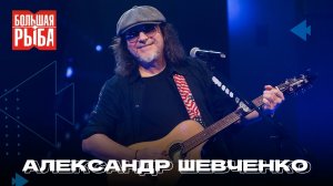 Александр Шевченко. Концерт | Живой звук