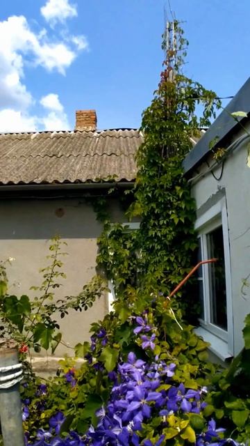🏡 ДОМ НА ЮГЕ❗ 62 м²🦯37 сот. 🌿БАНЯ🌳 САД💲1 700 000 ₽🚩станица Александровская📞89245404992🌴