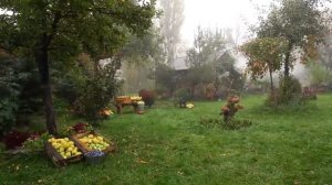 Готовим булочки с начинкой из говядины.