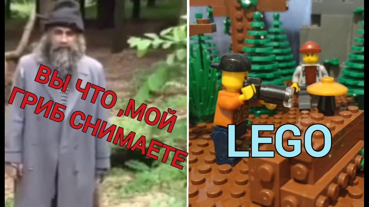 Я не понял ,вы что мой гриб снимаете ? это же мой гриб /stop motion studio/покадровый мем смотреть онлайн