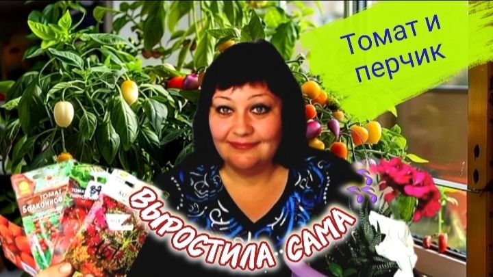 Томат и перчик 🌶🍅🎶 выростила Сама ❗️
