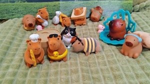 Соревнование капибарчиков 🦫🦫🦫