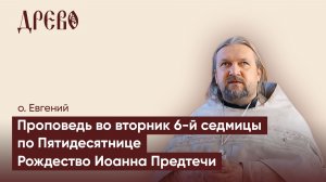 Нужна ли нам литургия? | Проповедь о. Евгения Гуреева |Рождество Иоанна Крестителя | ДРЕВО