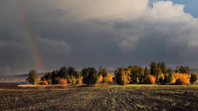 "БАБЬЕ ЛЕТО"... (Фото Александра Шадракова (Кемерово), музыка Сергея Чекалина) смотреть онлайн