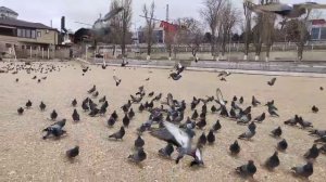 На прогулке