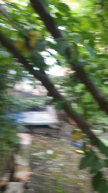 слива смотреть онлайн