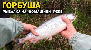 Открыли сезон горбуши. Первые вылазки! Рыбалка на Сахалине.  #горбуша #Сахалин #рыбалка #сима