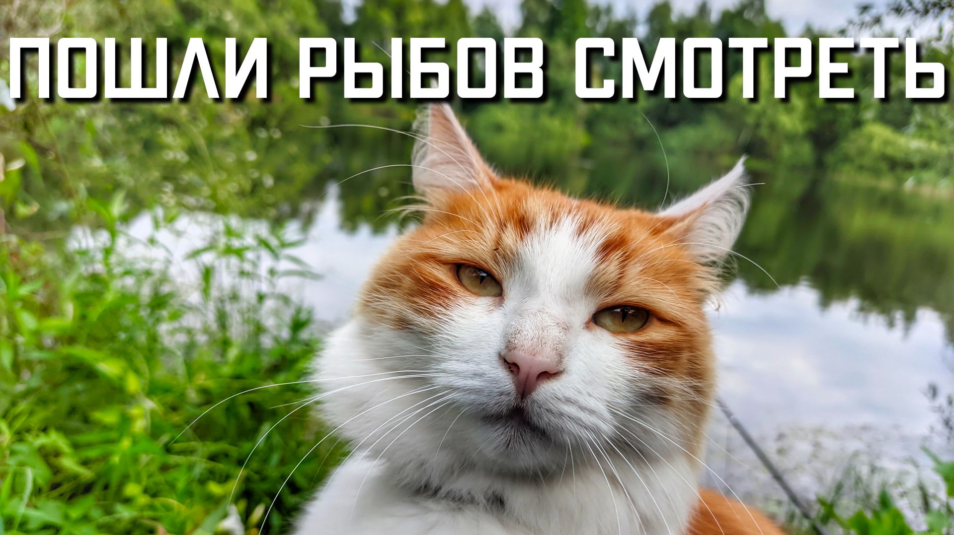 Ловим карася на клубничную мастырку