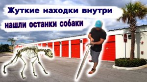 Жуткие находки в брошенном контейнере. Нашли останки собаки внутри. Холодное оружие.