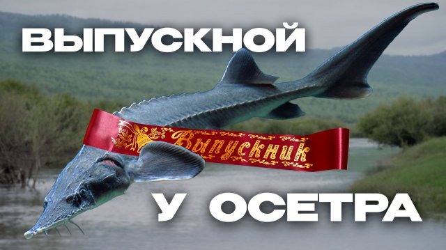 Осётр отмечает свой первый и единственный в жизни выпускной
