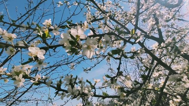 Один из дней города Евпатории | 7 апреля 2022 год | Крым ХАН БАТОН XAH 6ATOH | VID_20220407_145403